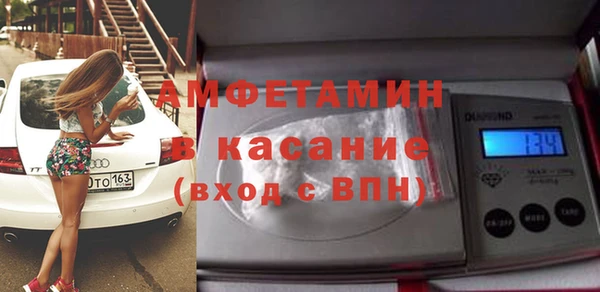 шишки Карпинск