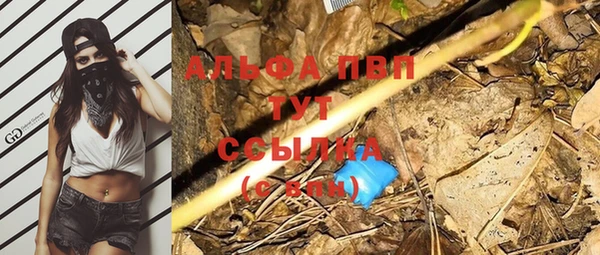 тгк Касимов