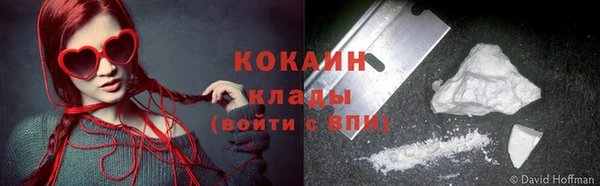 шишки Карпинск