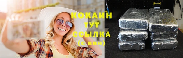 шишки Карпинск
