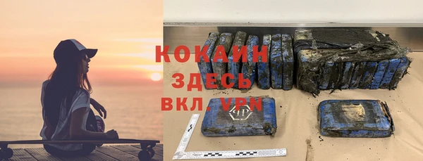 шишки Карпинск
