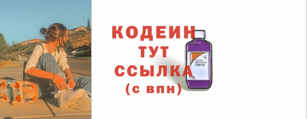 apvp Каменногорск