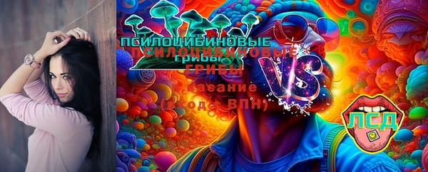 2c-b Каменск-Шахтинский