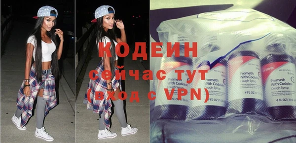 шишки Карпинск