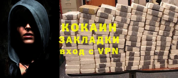 шишки Карпинск