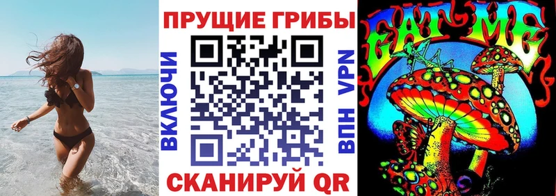 Псилоцибиновые грибы мицелий  даркнет сайт  Кохма 