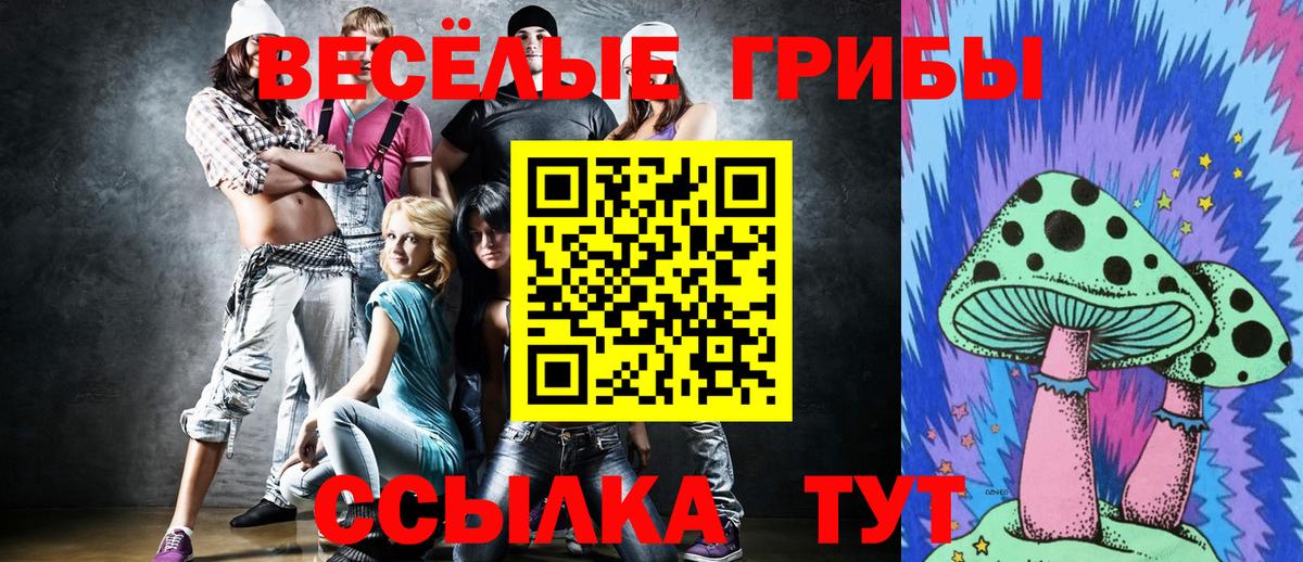 как найти закладки  Вход с VPN  Кохма  Псилоцибиновые грибы GOLDEN TEACHER  Галлюциногенные грибы Magic Shrooms 