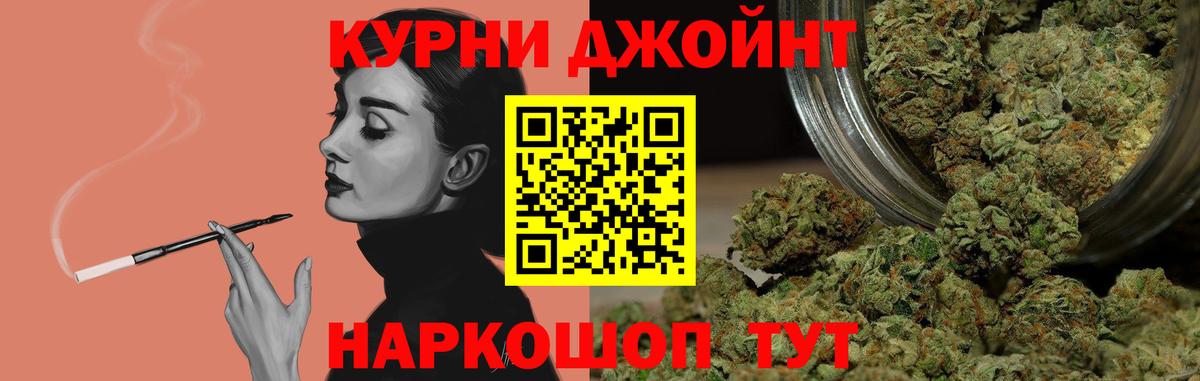Конопля конопля Кохма